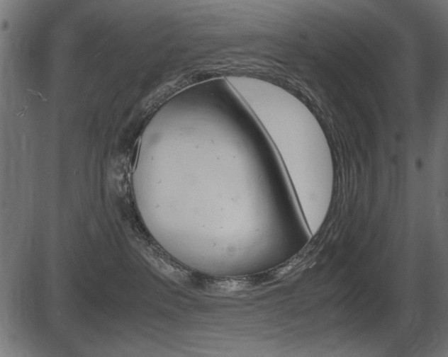 X0000087540237200704270931
