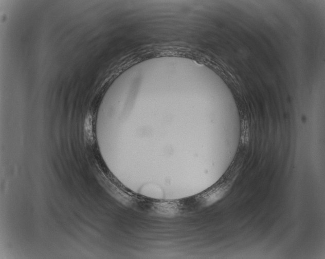 X0000087540238200704270931