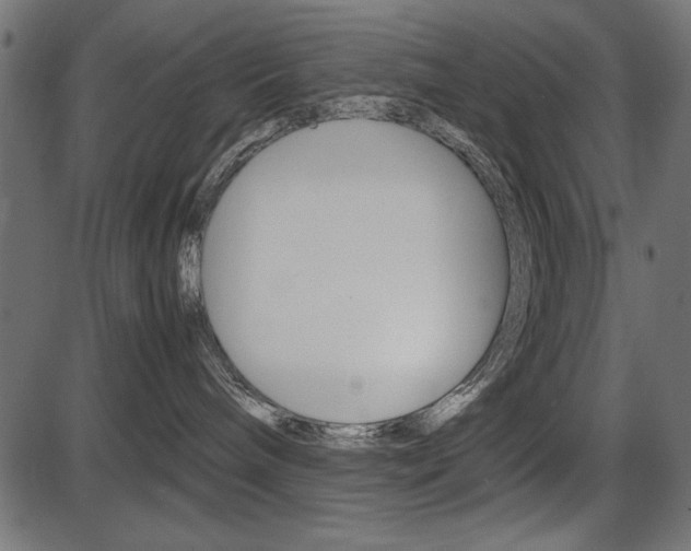 X0000087540240200704270931