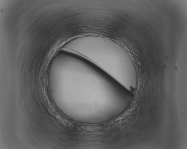X0000087540241200704270931