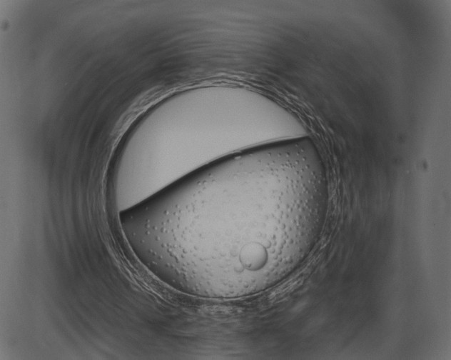 X0000087540242200704270931