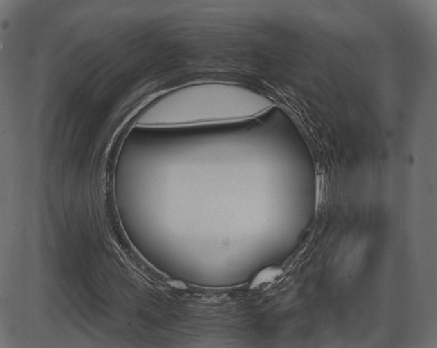 X0000087540243200704270931