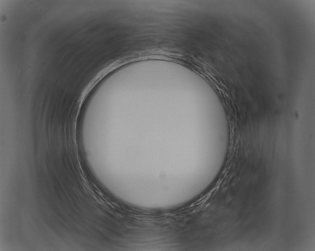 X0000087540244200704270931