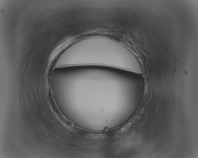 X0000087540245200704270931