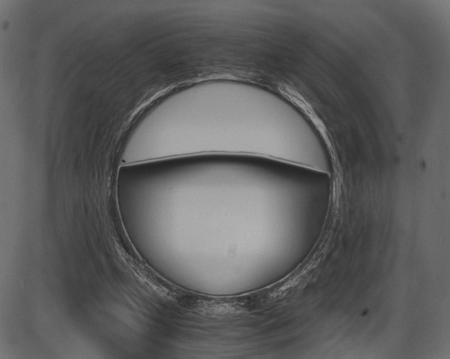 X0000087540249200704270931