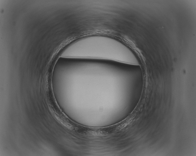 X0000087540250200704270931