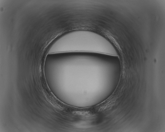 X0000087540251200704270931