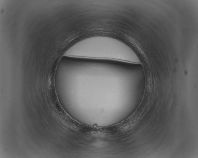 X0000087540259200704270931