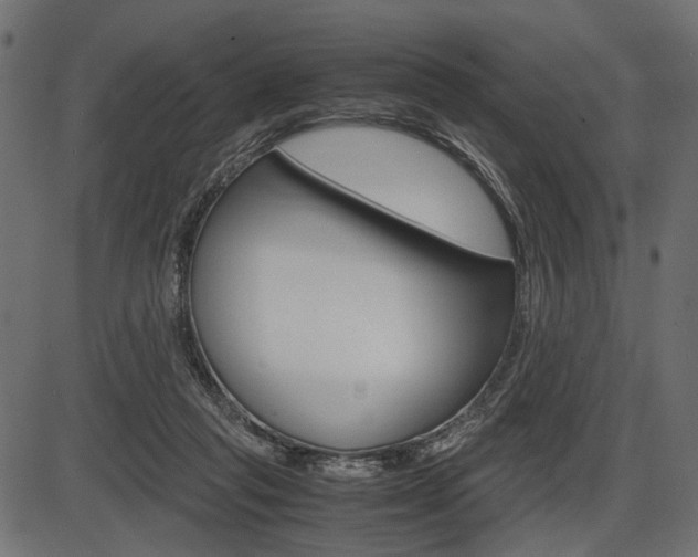 X0000087540261200704270931