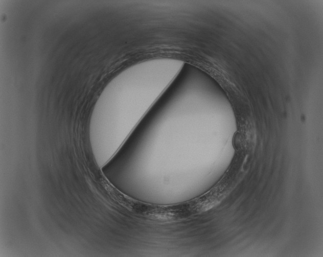 X0000087540263200704270931