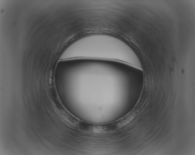 X0000087540264200704270931