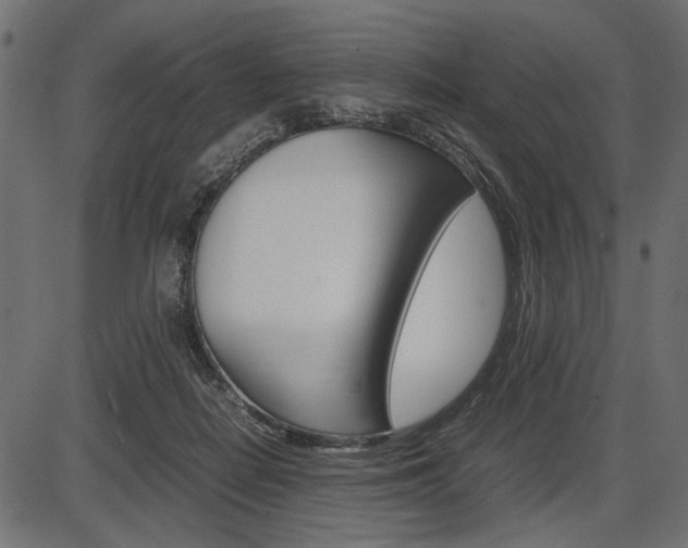 X0000087540266200704270931