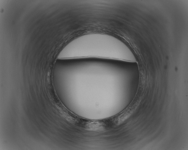 X0000087540269200704270931