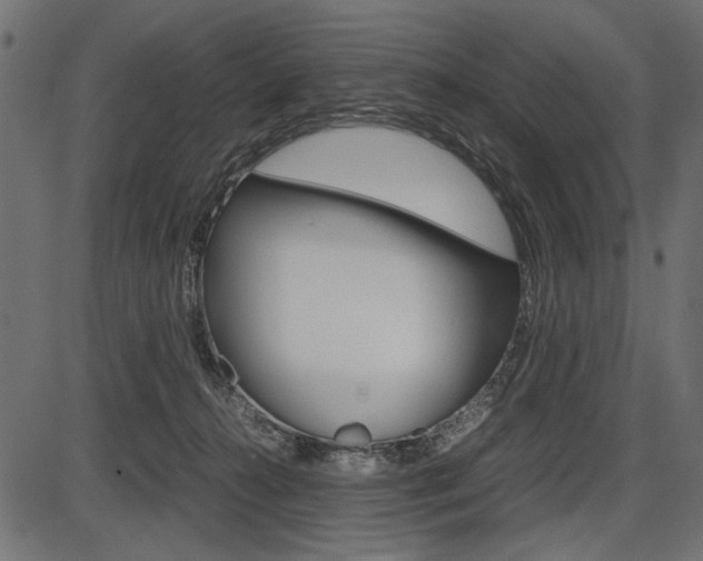 X0000087540272200704270931