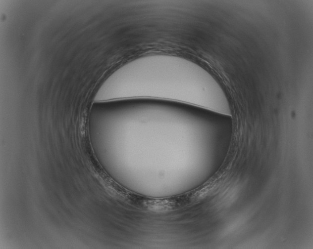 X0000087540273200704270931