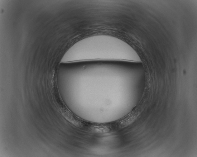 X0000087540275200704270931