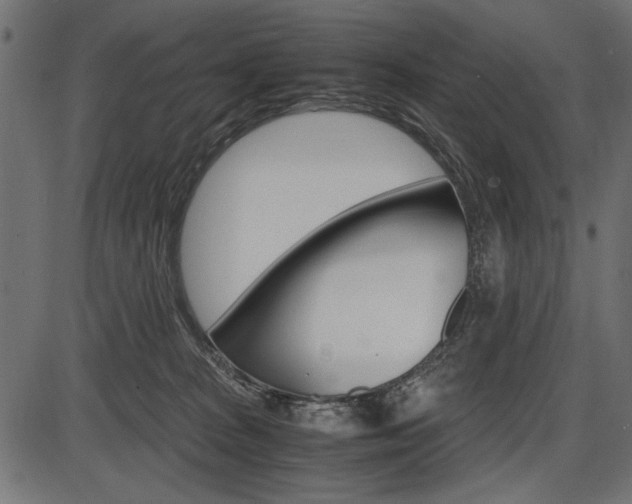 X0000087540277200704270931