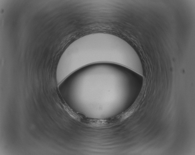 X0000087540288200704270931
