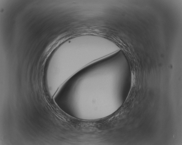 X0000087540291200704270931