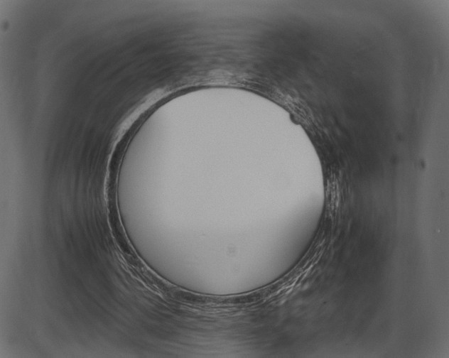 X0000087540292200704270930