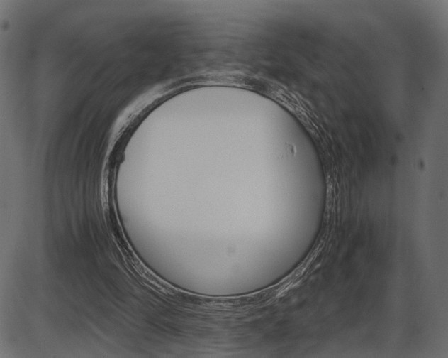 X0000087540294200704270930