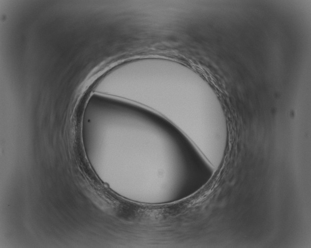 X0000087540295200704270930
