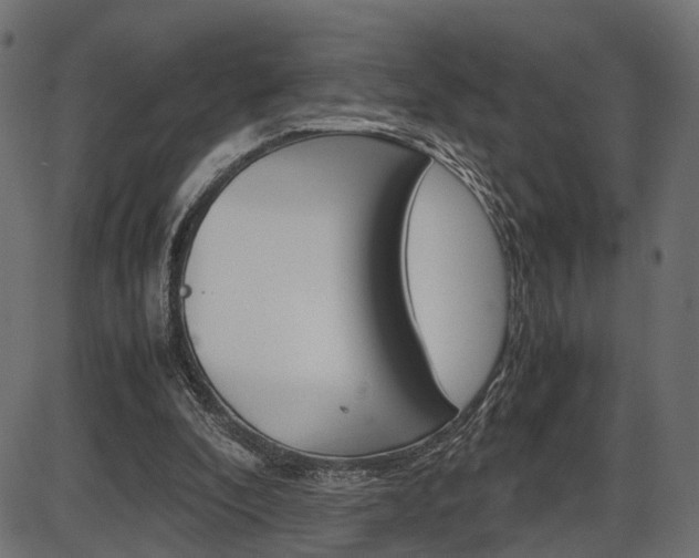 X0000087540296200704270930