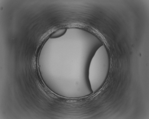 X0000087540298200704270930
