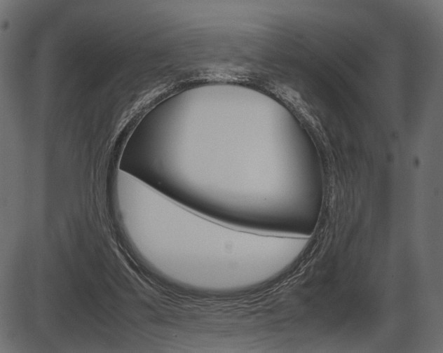X0000087540299200704270930