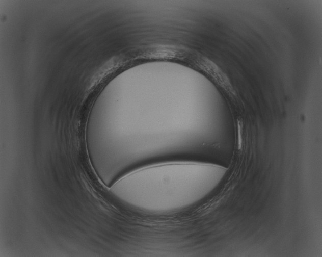 X0000087540300200704270930
