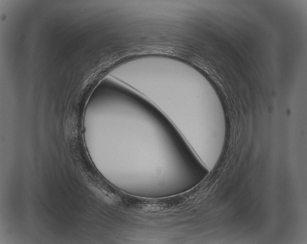 X0000087540303200704270930