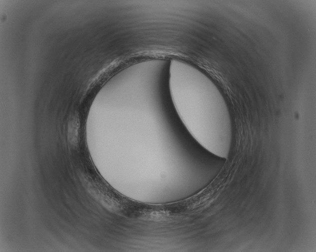 X0000087540304200704270930