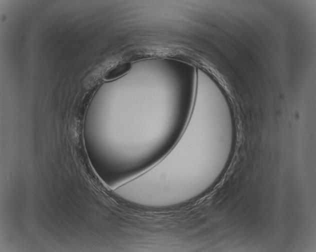 X0000087540305200704270930