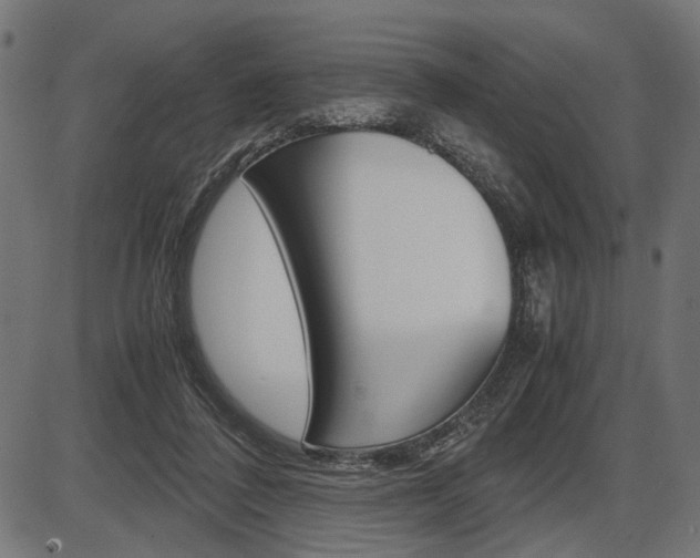 X0000087540308200704270930