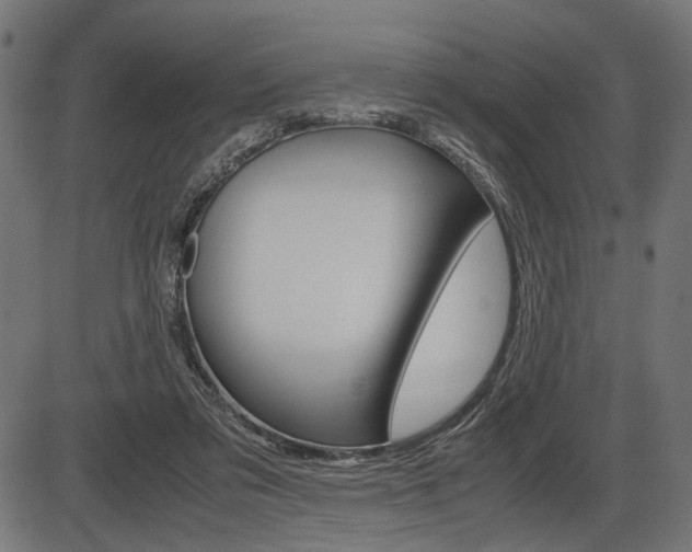 X0000087540309200704270930
