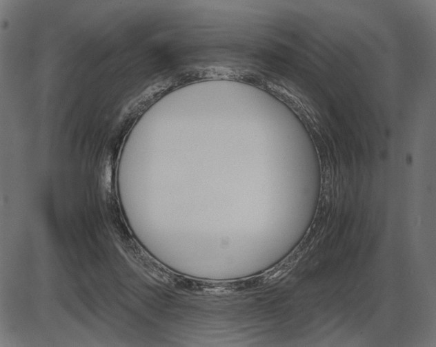 X0000087540310200704270930