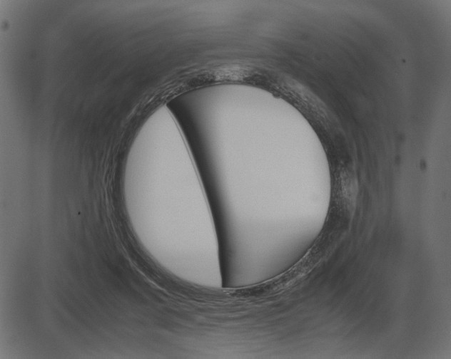 X0000087540311200704270930
