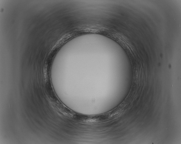 X0000087540312200704270930