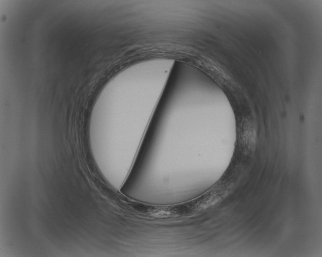 X0000087540315200704270930