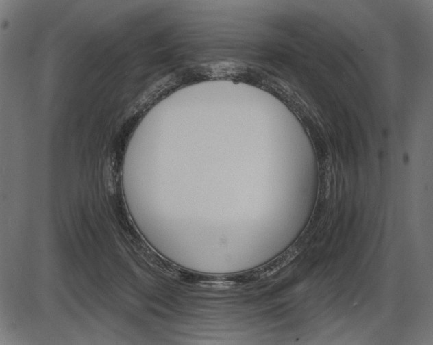 X0000087540316200704270930