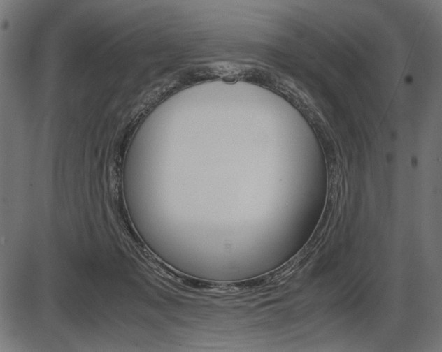 X0000087540317200704270930