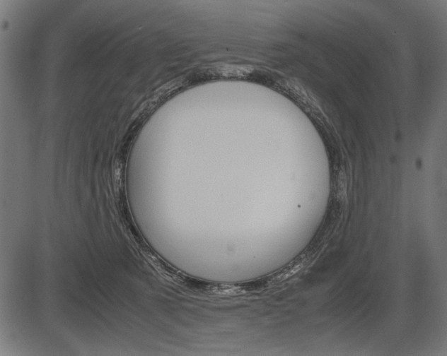 X0000087540321200704270930