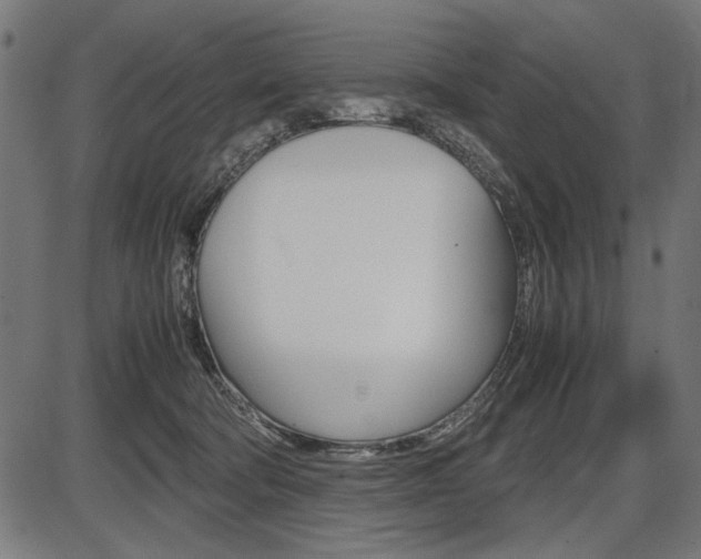 X0000087540322200704270930