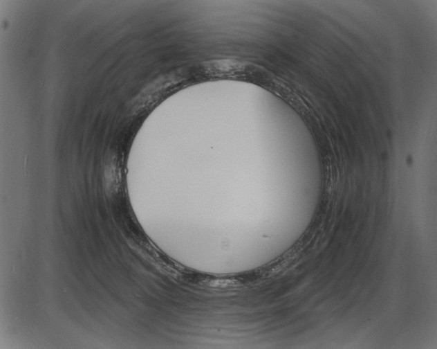 X0000087540324200704270930