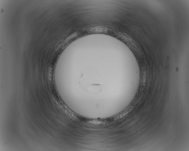 X0000087540326200704270930