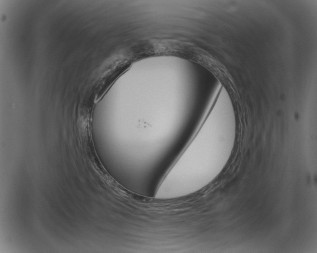 X0000087540329200704270930