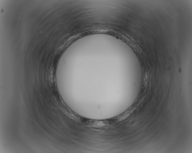 X0000087540330200704270930