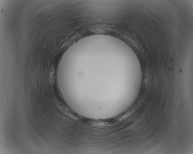 X0000087540332200704270930