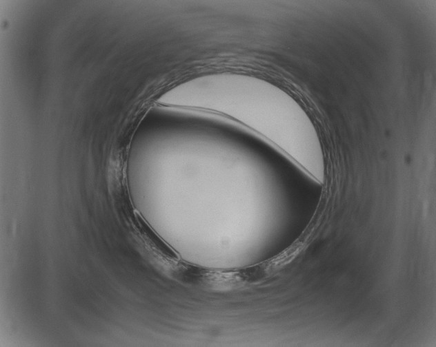 X0000087540333200704270930