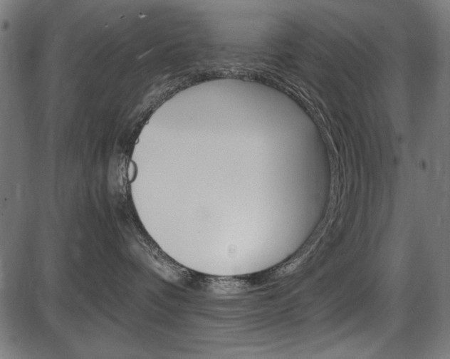 X0000087540336200704270930